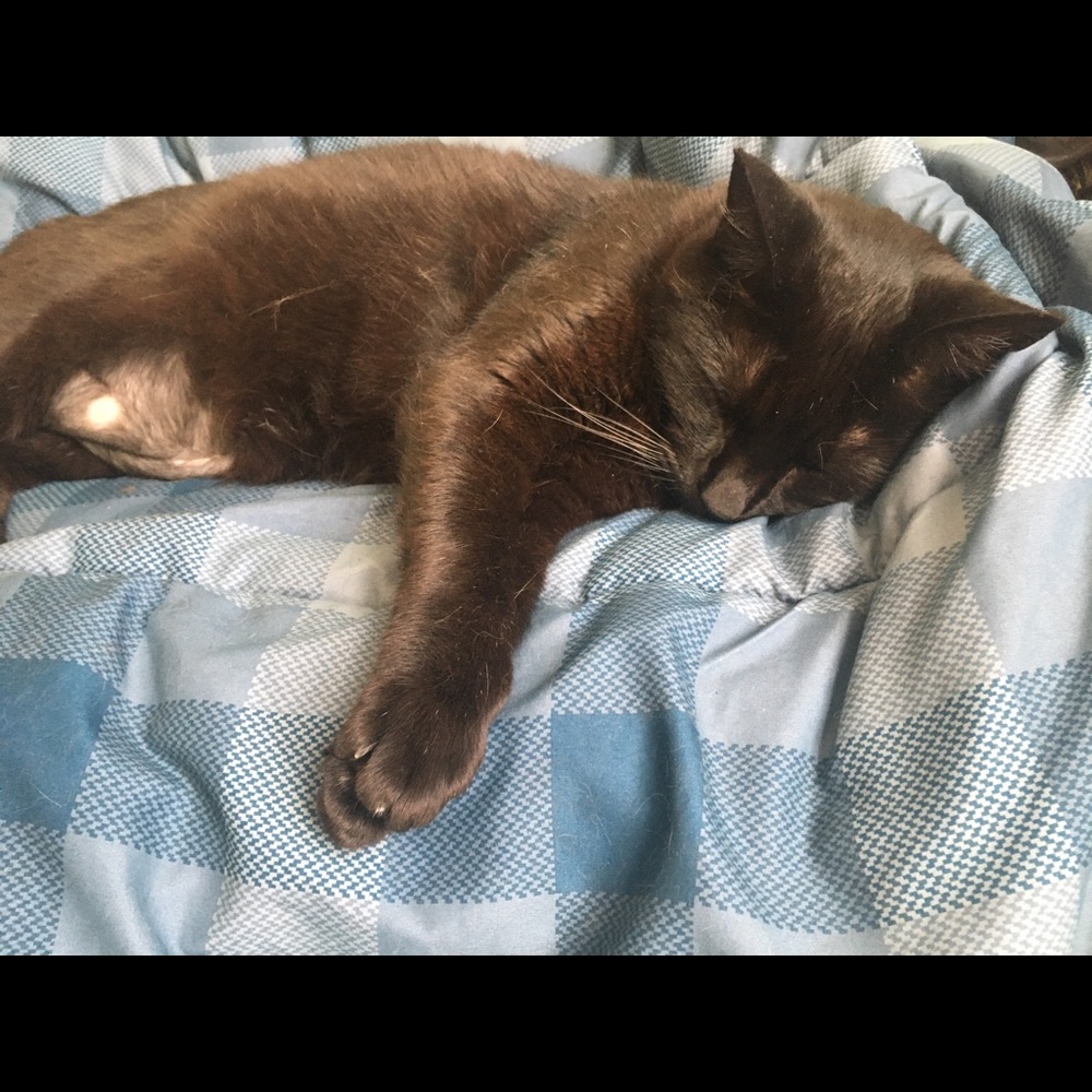 Meet your Posher, Stephen